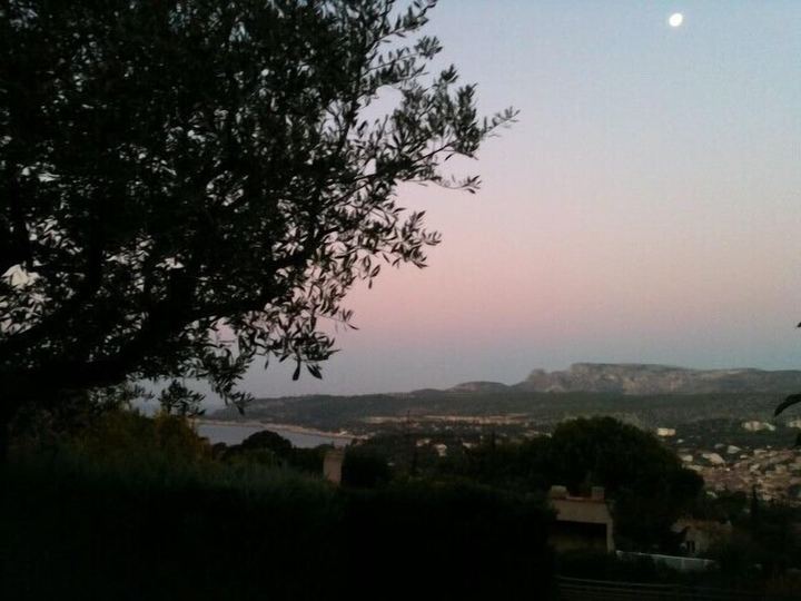 Vue au crépuscule depuis le jardin de la Villa SOLEDAD, avec un olivier, la baie de Cassis et les falaises à l’horizon